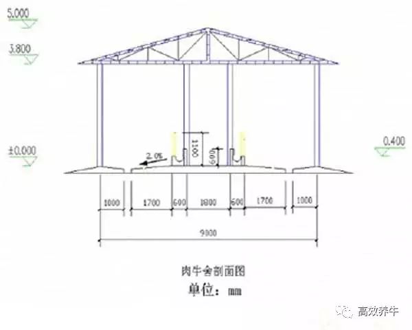 等下一季花开