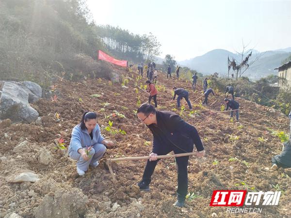 慈利县交通发展新篇章，喜讯连连，精彩资讯速览！