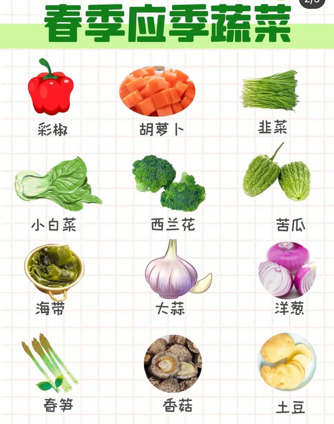 新鲜蔬菜品种大赏：色彩斑斓的植物画卷