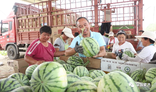 中牟西瓜迎来丰收喜悦，市场收购价格喜人上涨