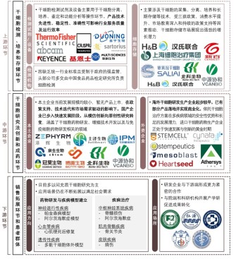 探索前沿：中国再生医学领域最新动态与突破性进展揭秘