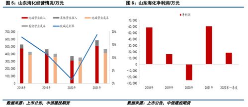 浮生梦如初